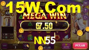 Experiência VIP NN55